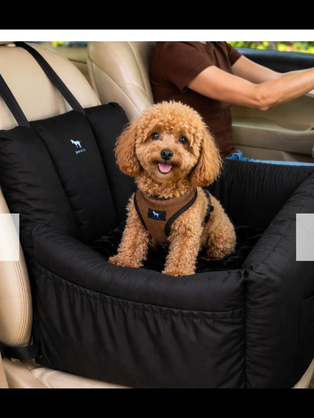 Jacko & Co Dog Booster Car Seat